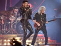 qalberlin6