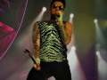 P1020387 (5)